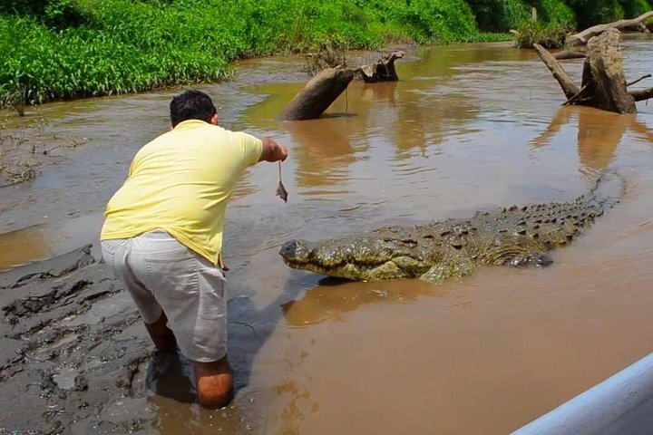 Tarcoles River